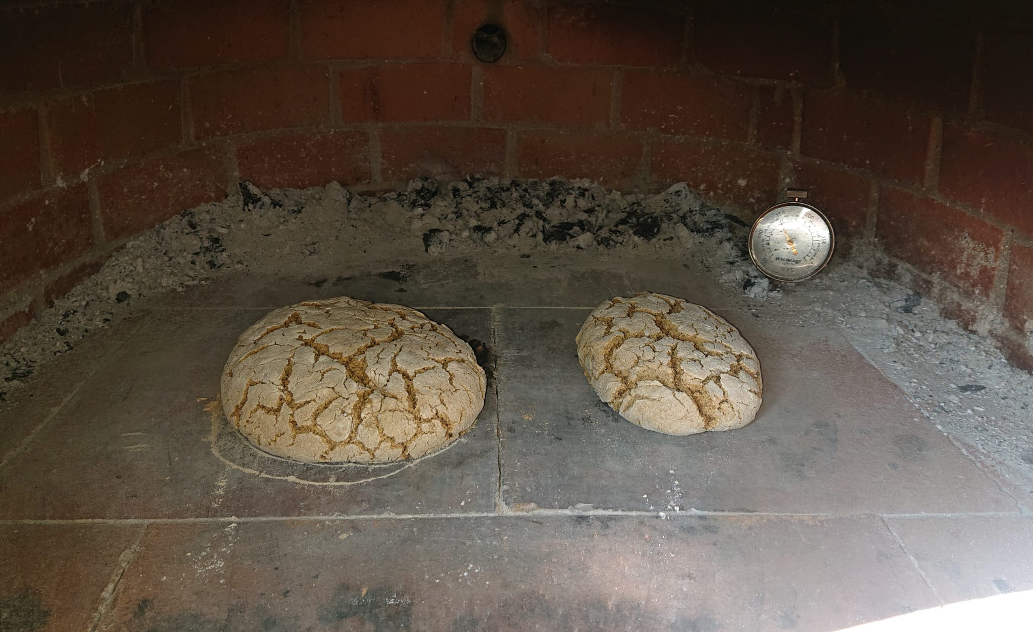 Four à Bois Maestro 110 cm – Four à Pizza et Pain Professionnel